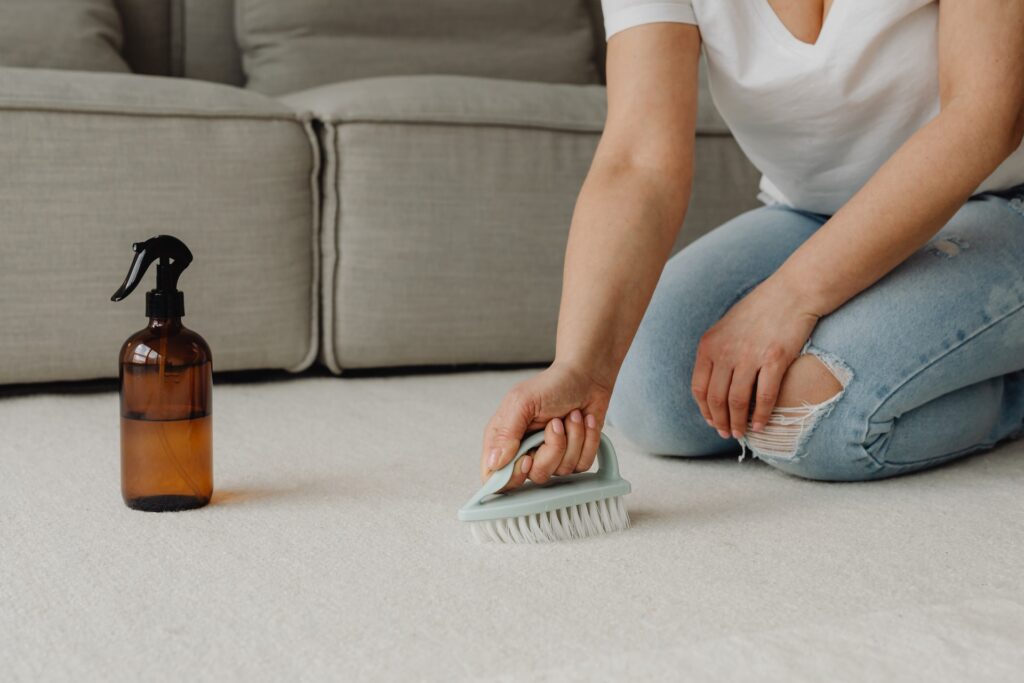 carpet cleaning